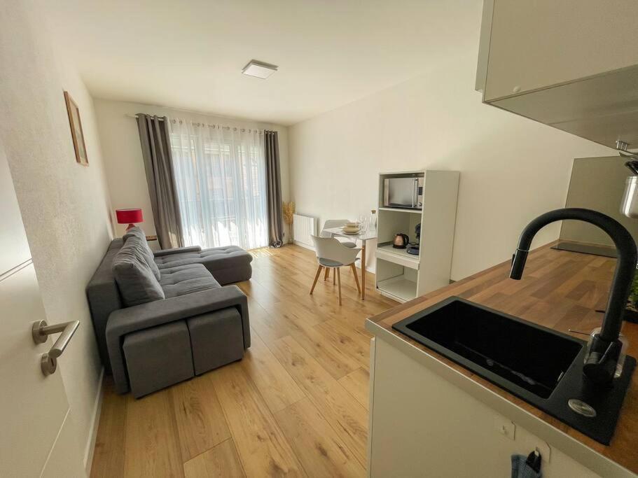 Le Lagon Bleu - Appt Wifi Parking Balcon Le Puy-en-Velay Exterior foto
