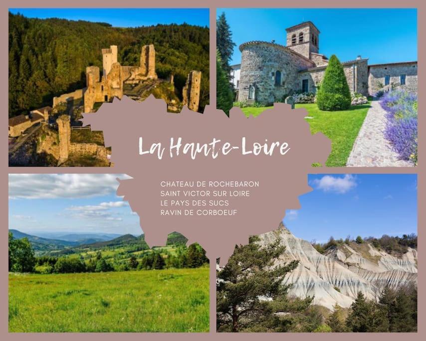 Le Lagon Bleu - Appt Wifi Parking Balcon Le Puy-en-Velay Exterior foto