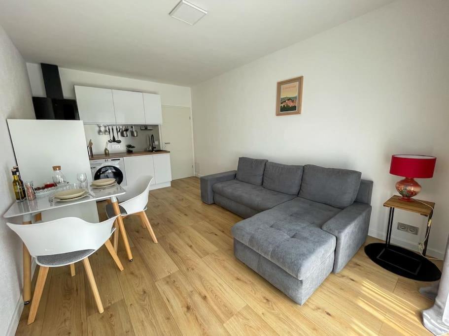 Le Lagon Bleu - Appt Wifi Parking Balcon Le Puy-en-Velay Exterior foto