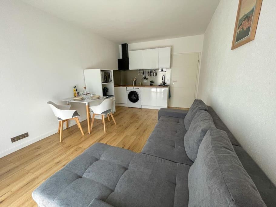 Le Lagon Bleu - Appt Wifi Parking Balcon Le Puy-en-Velay Exterior foto