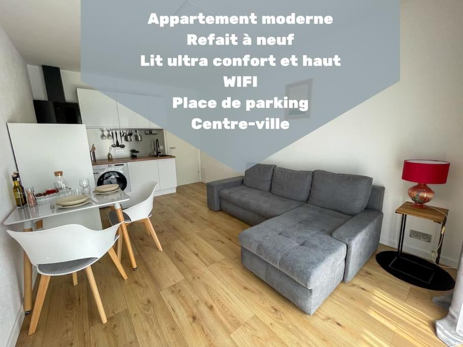 Le Lagon Bleu - Appt Wifi Parking Balcon Le Puy-en-Velay Exterior foto